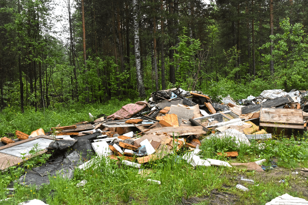 В Выксе дополнительно ликвидируют 6 незаконных свалок