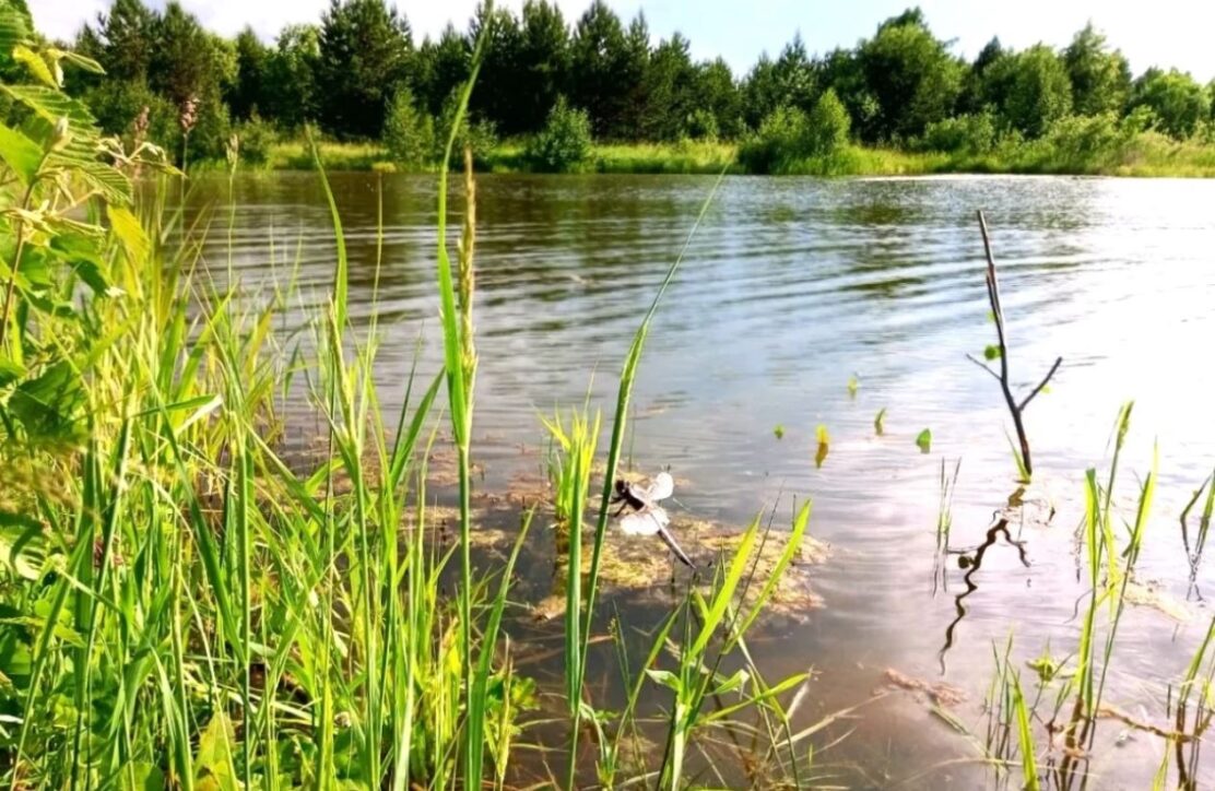 В Нижегородскую область вернется жара в 30 градусов