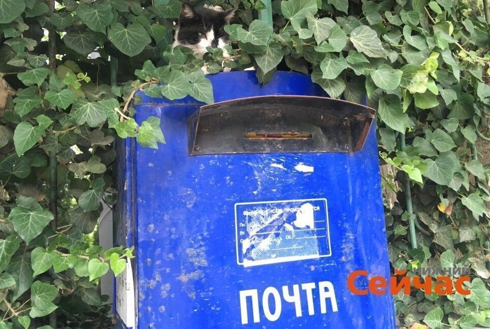 100 отделений почты закрыто в Нижегородской области на середину июля 2024 года